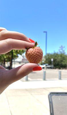 Perfect white strawberries, they taste just like pineapples!