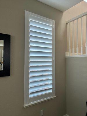 Catalog Blinds