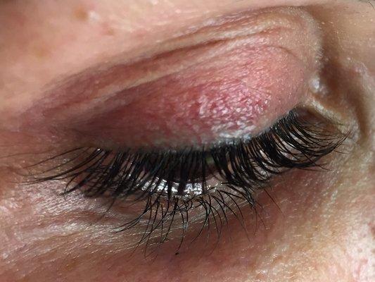 After lash tint and lash perm.