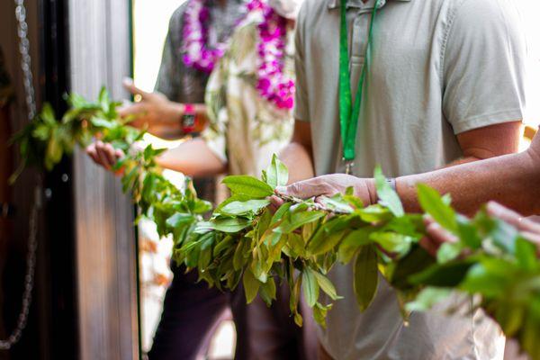 Aloha Green Apothecary - Waikiki