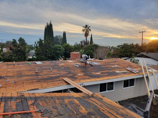 Demo and tear down of old roof.