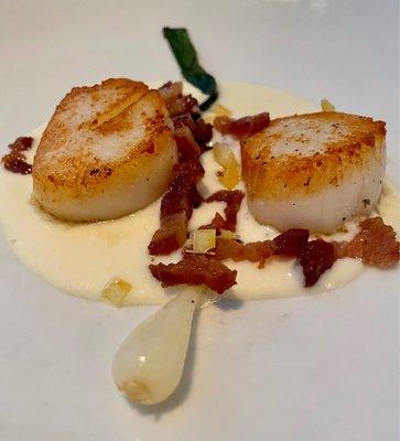 Scallops