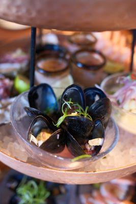 Seafood Platter