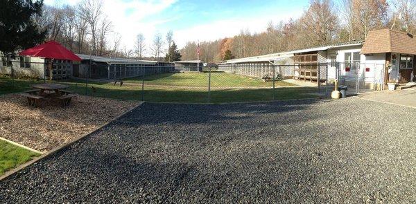 View of the front courtyard and dog runs