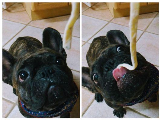 Fettuccine Alfredo for Maggie's 3rd Birthday!