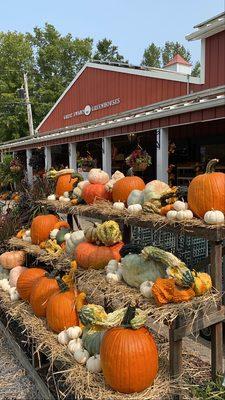 Fall display pumpkins and gourds