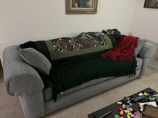 Reupholstered couch as it is lived in.