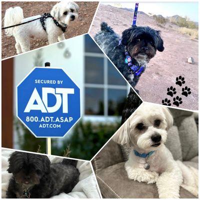 ADT Security