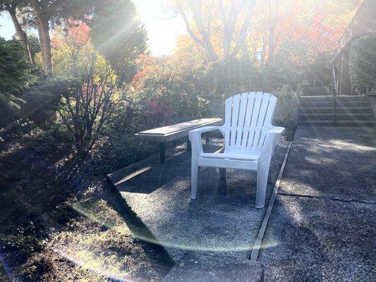 Spacious serene courtyard with several seating areas