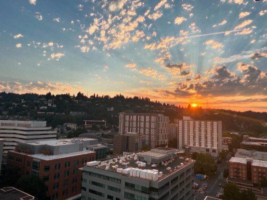 Sunset, south side facing west.