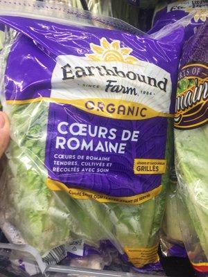 Organic lettuce 99¢!