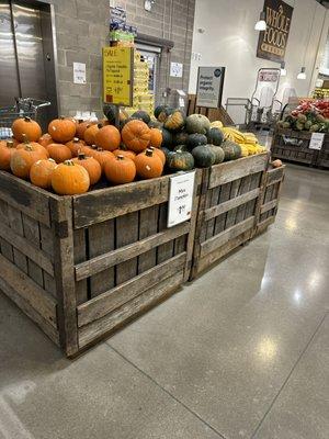 Nice selection of Fall pumpkins etc