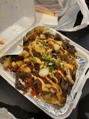 Bulgogi Fries