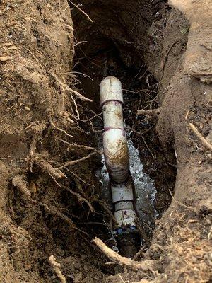 Sewer pipe