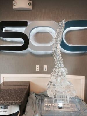 Ice Sculpture in the Shape of a Spine!