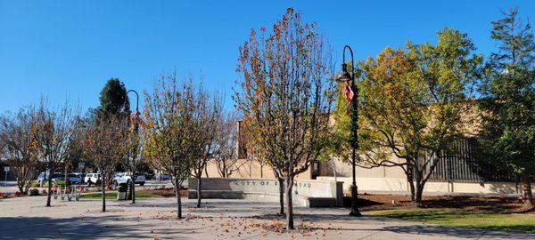 City of Rosemead