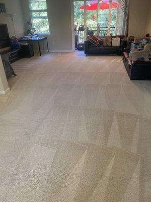 Very professional. The carpet is clean and not wet, this is what we wanted. Quick and efficient. Job well done! Thank you!