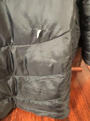 Coat torn by dogs