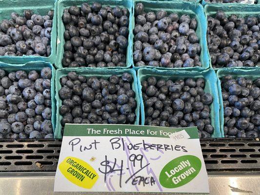 Organic Blueberries  locally grown