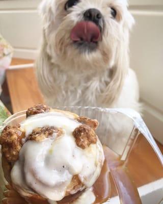 Salted Caramel & Candied Walnut Cinna-Roll