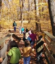 Nature Walk Options