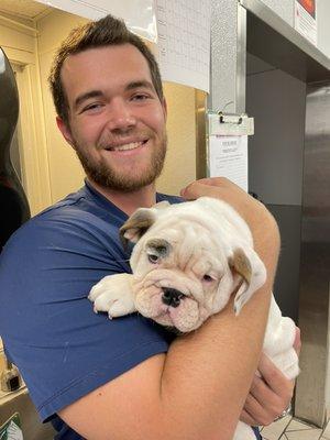 Meet Tamara, the English bulldog. She got lots of love from us today.