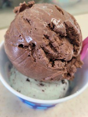 Mint chocolate chip & chocolate ice cream $4.99