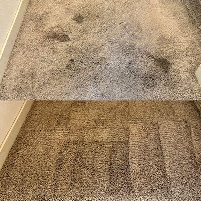 stairs landing carpet cleaning