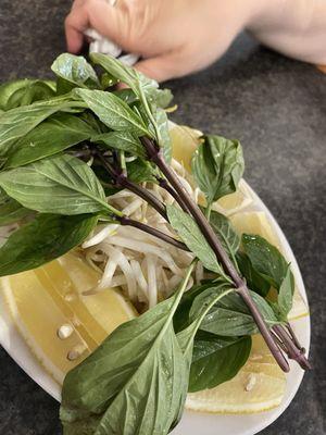 Basil Jalapeno Bean Sprouts and Lemon