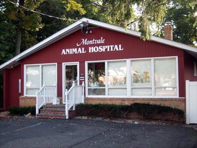 Welcome to Montvale Animal Hospital!