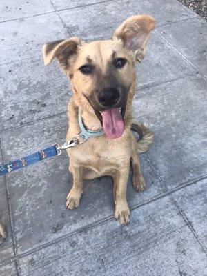 Smiling after a good walk