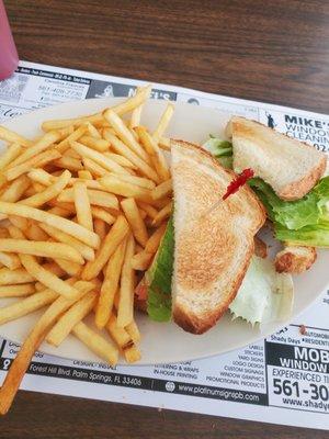 An amazing turkey club and a mountain of fries.