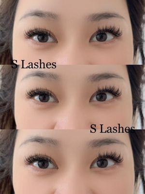 Royal Lashes