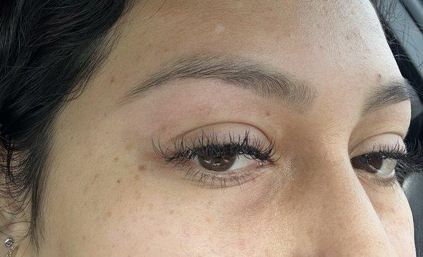 Eyebrow wax and tint