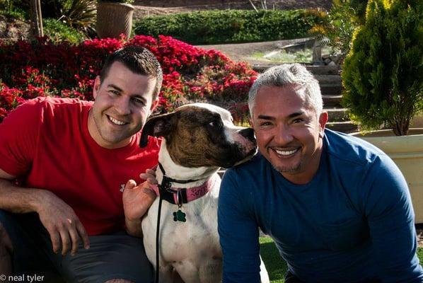 Owner Steve with his friend & mentor Cesar Millan & American Bulldog Maddie at the Dog Psychology Center in LA!