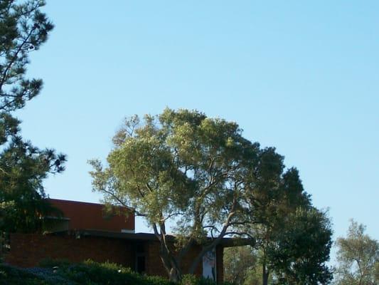 Beautiful structure surrounded by trees.