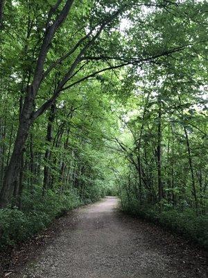 Peaceful trail around the pond.