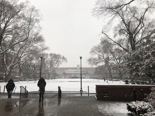 Snow covered view from the bc library towards west quad