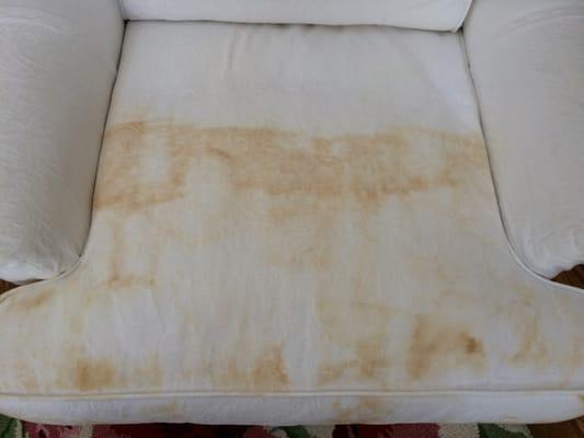 This is the current condition of one of four cushions damaged during cleaning.  There originally was one 1/4" tiny stain on this cushion.