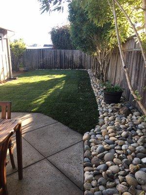 New sod lawn with noyos river rock boarder in Santa Cruz.