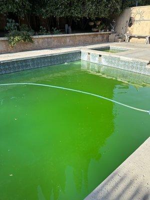 Green pool