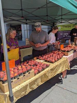 Ferry farmers market, 6/14/22