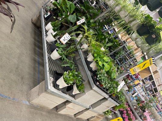 Garden center