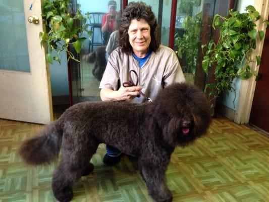 Here is Eloise and 5 club International Dog Show Champion Sophie Brown. We LOVE the haircut!