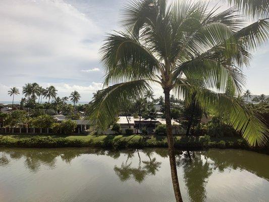 View from one of the treatment rooms