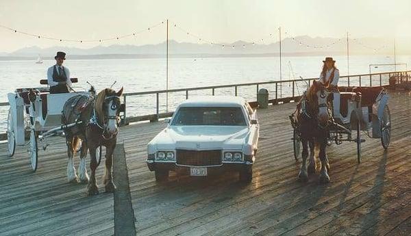 Sealth Horse Carriages