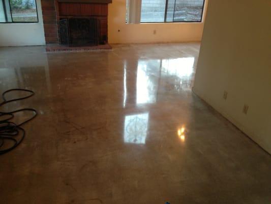 Concrete polishing