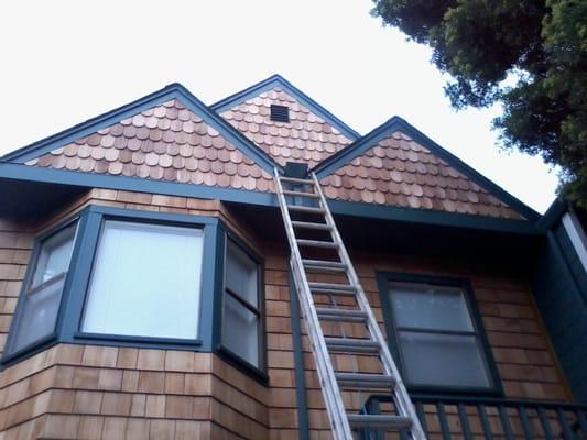 The beauty of cedar shingle when installed correctly.