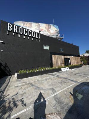 Broccoli LA Dispensary