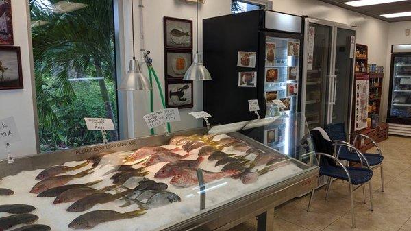 Fresh fish display case